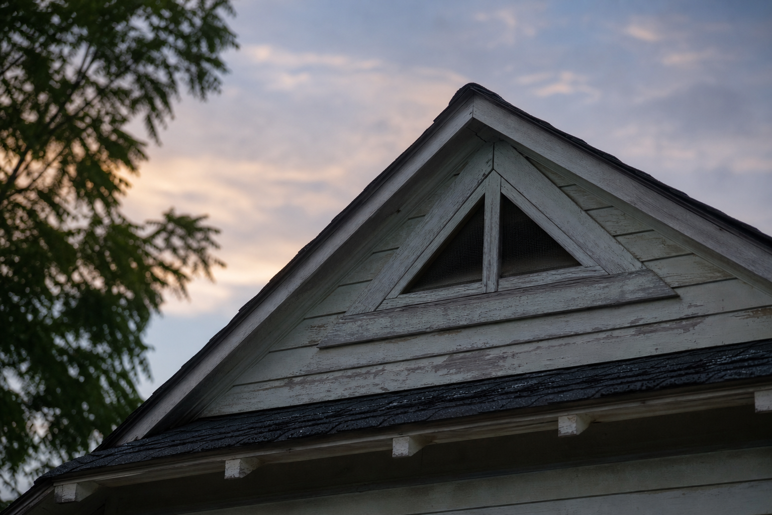 Bat Removal in Boiling Springs, SC: What an Attic Inspection Should Clarify