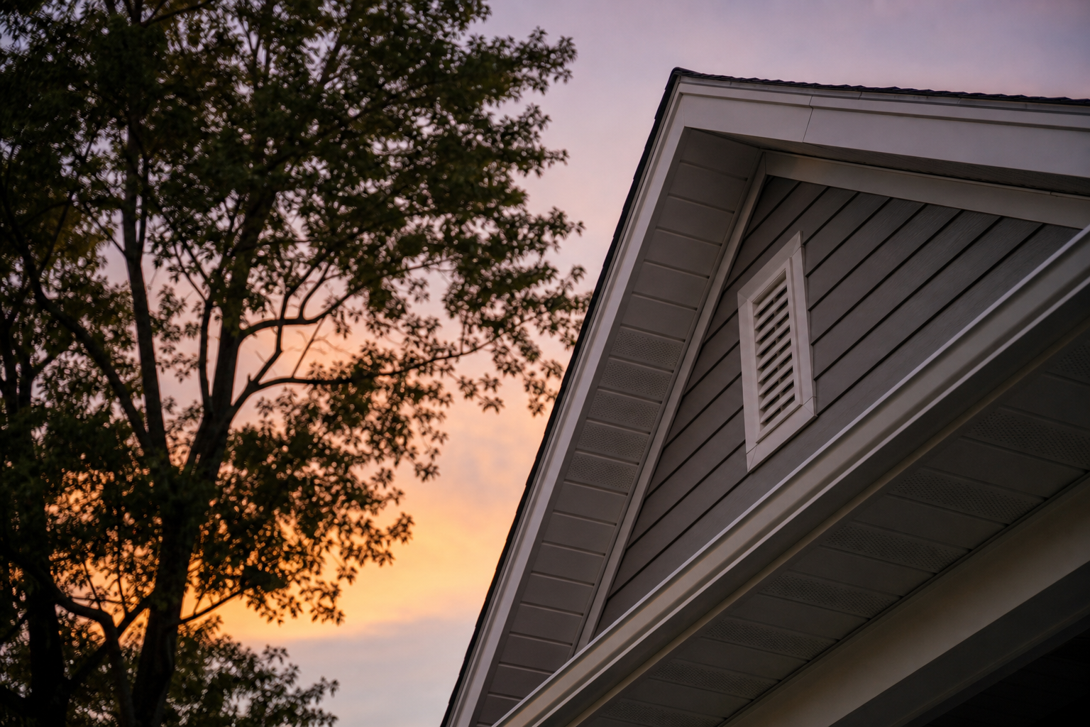 Raccoon Removal in Boiling Springs, SC: Questions About Access and Exclusion